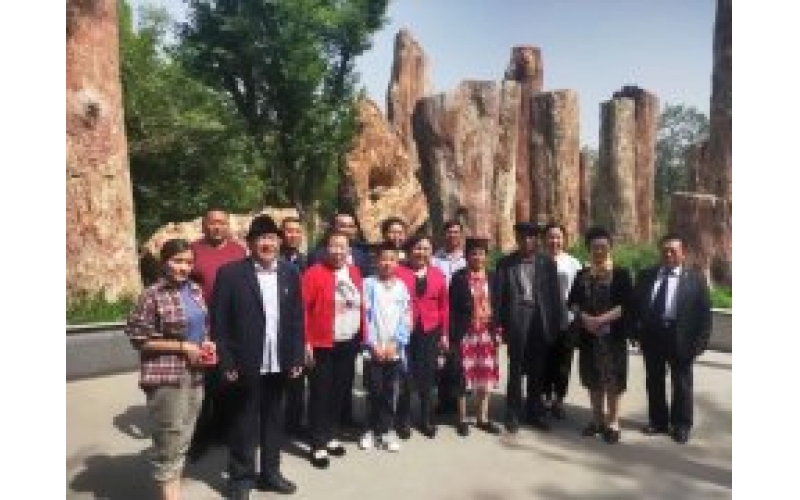 获评“全国最美家庭”的22户新疆家庭走进c7游戏官网·(中国)官方网站集